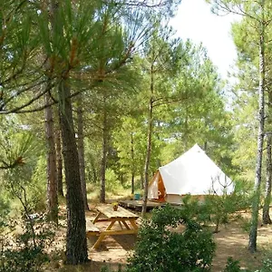 Forest Days Navès